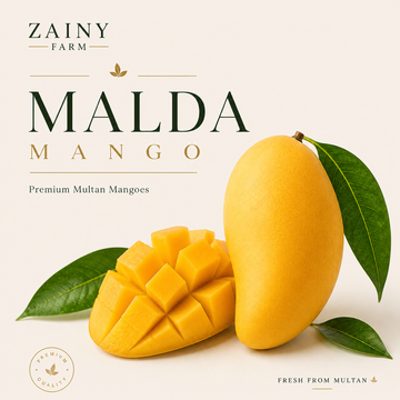 Malda Mango - Buy Fresh Pakistani Malda Online | Zainy Farm Multan