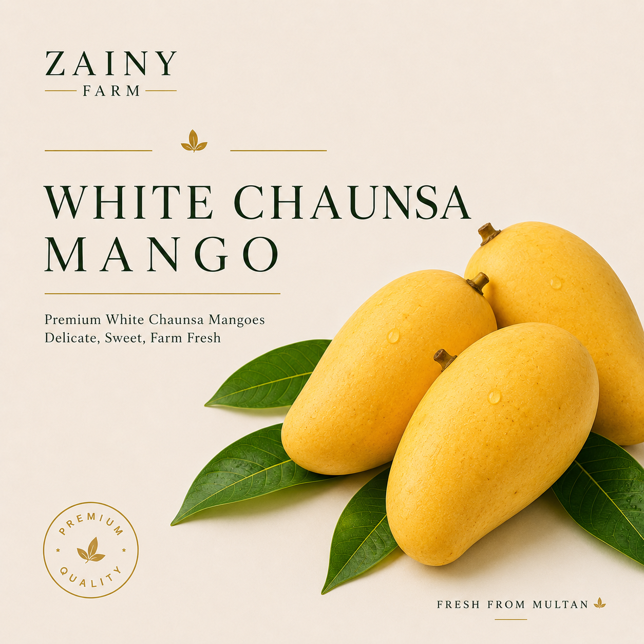 White Chaunsa (Late) Nawab Puri Mango - Premium Pakistani Mango | Zainy Farm