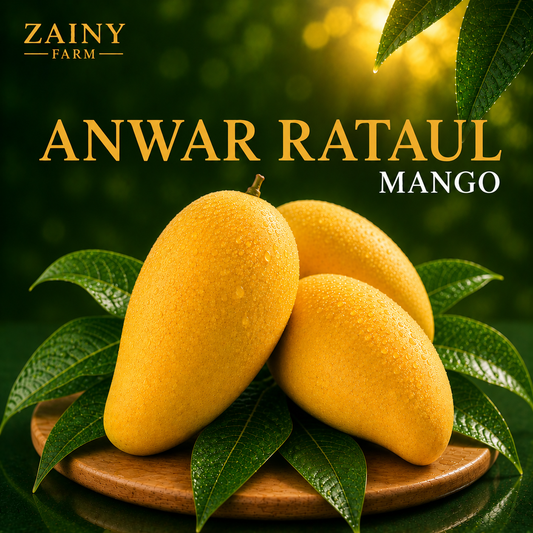 Anwar Rataul Mango