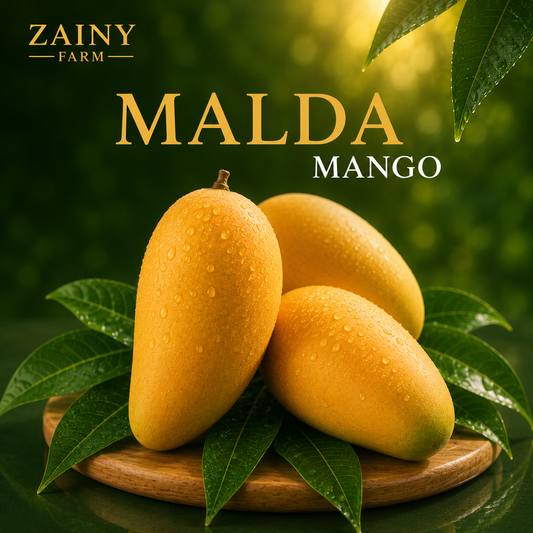 Malda Mango
