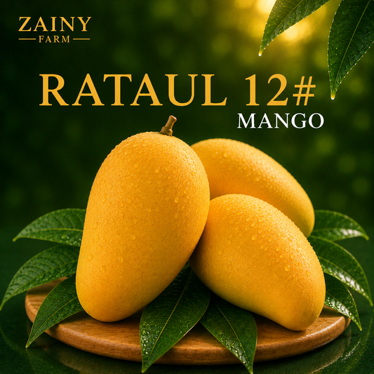 Rataul 12# (Late) Mango