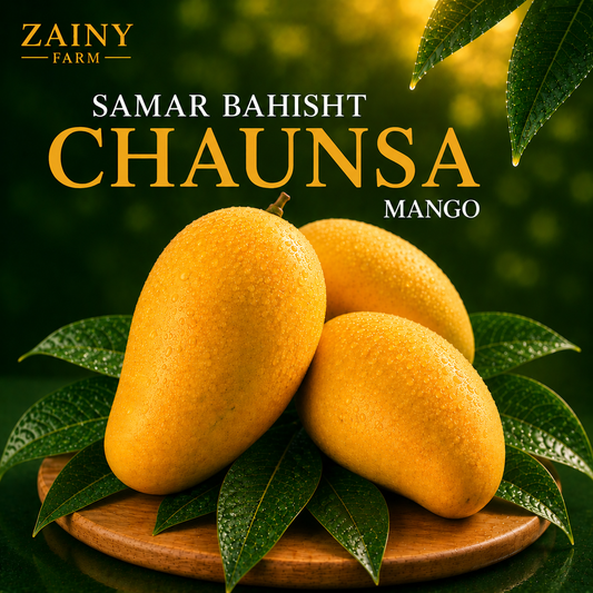 Samar Bahisht Chaunsa Mango