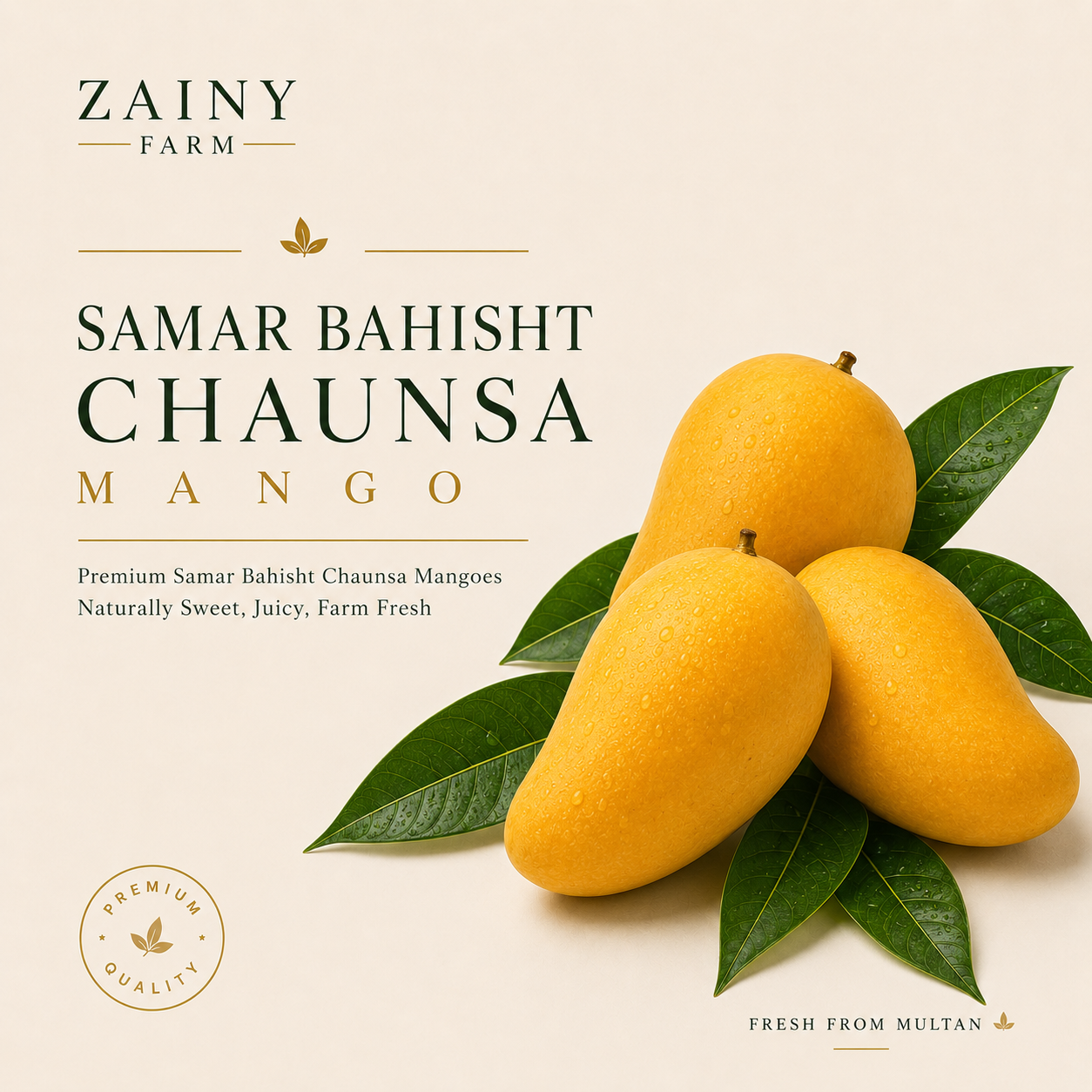 Samar Bahisht Chaunsa Mango - Sweet Pakistani Chaunsa | Zainy Farm Multan