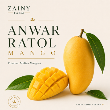 Anwar Rataul Mango - Premium Export-Quality Pakistani Mango | Zainy Farm