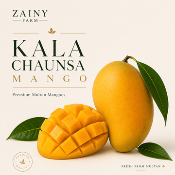 Kala Chaunsa Mango - Rare Dark-Skinned Pakistani Mango | Zainy Farm