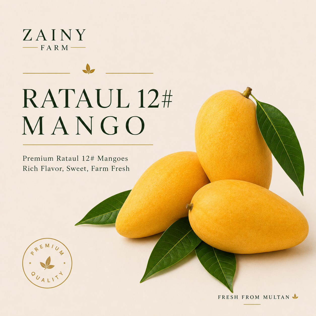 Rataul 12# (Late) Mango - Export-Quality Pakistani Mango | Zainy Farm