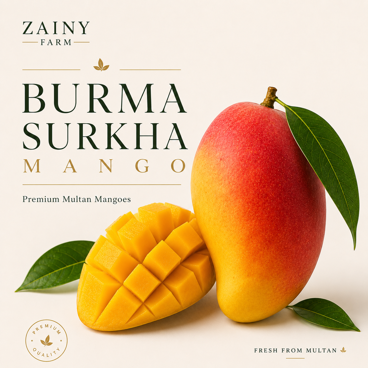 Burma Surkha Mango - Low-Sugar Pakistani Mango | Zainy Farm Multan