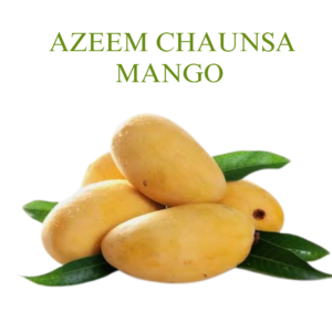 Azeem chaunsa