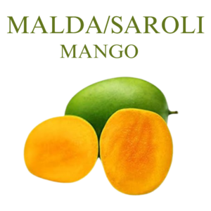 Malda/Saroli Mango