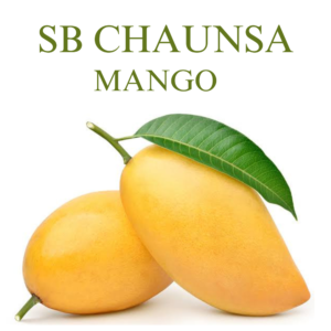SB Chaunsa Mango