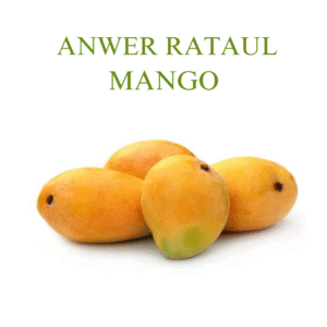 Anwar Rataul